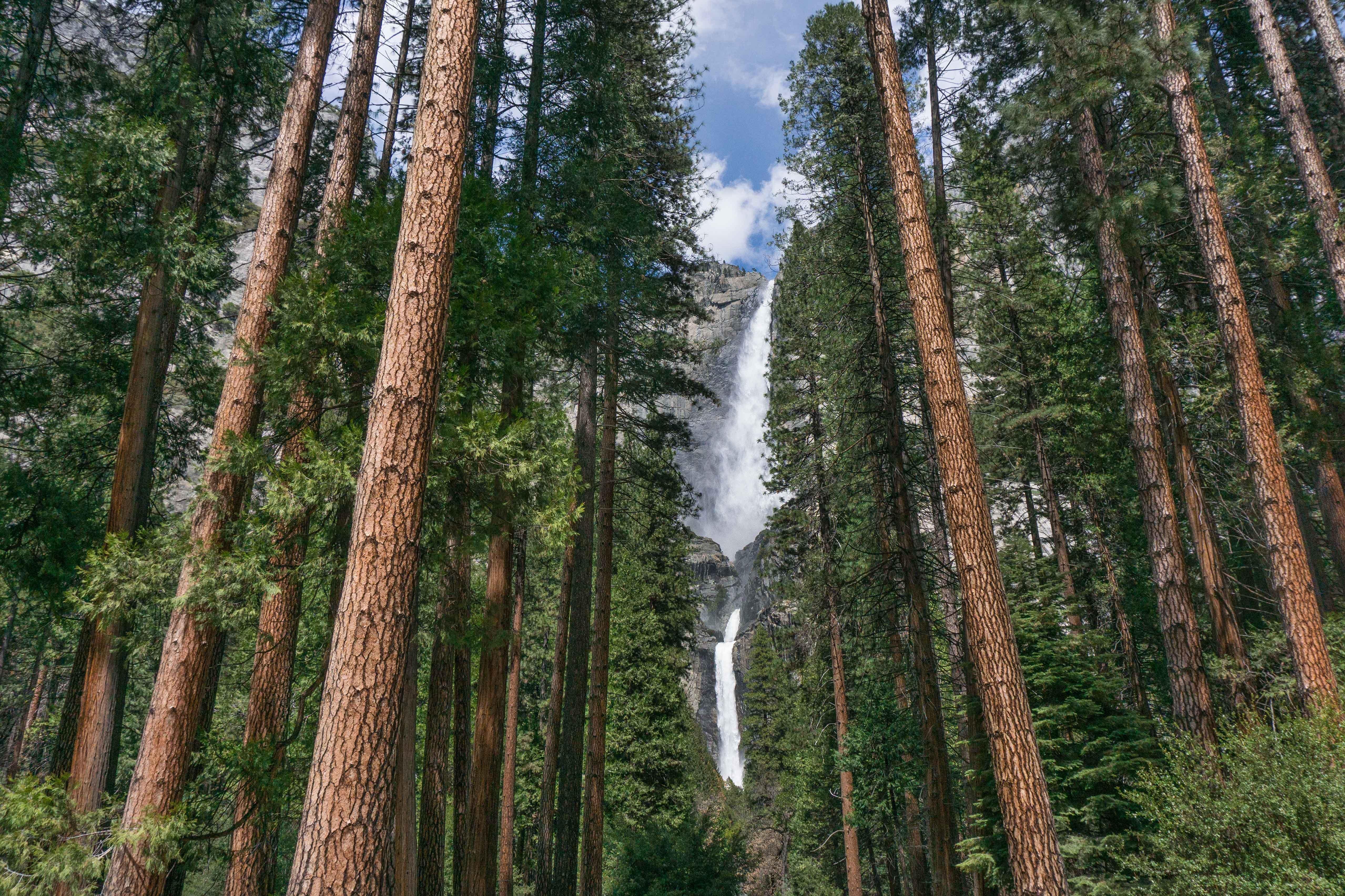 Holiday Inn Express & Suites Oakhurst-Yosemite Park Area By Ihg Dış mekan fotoğraf
