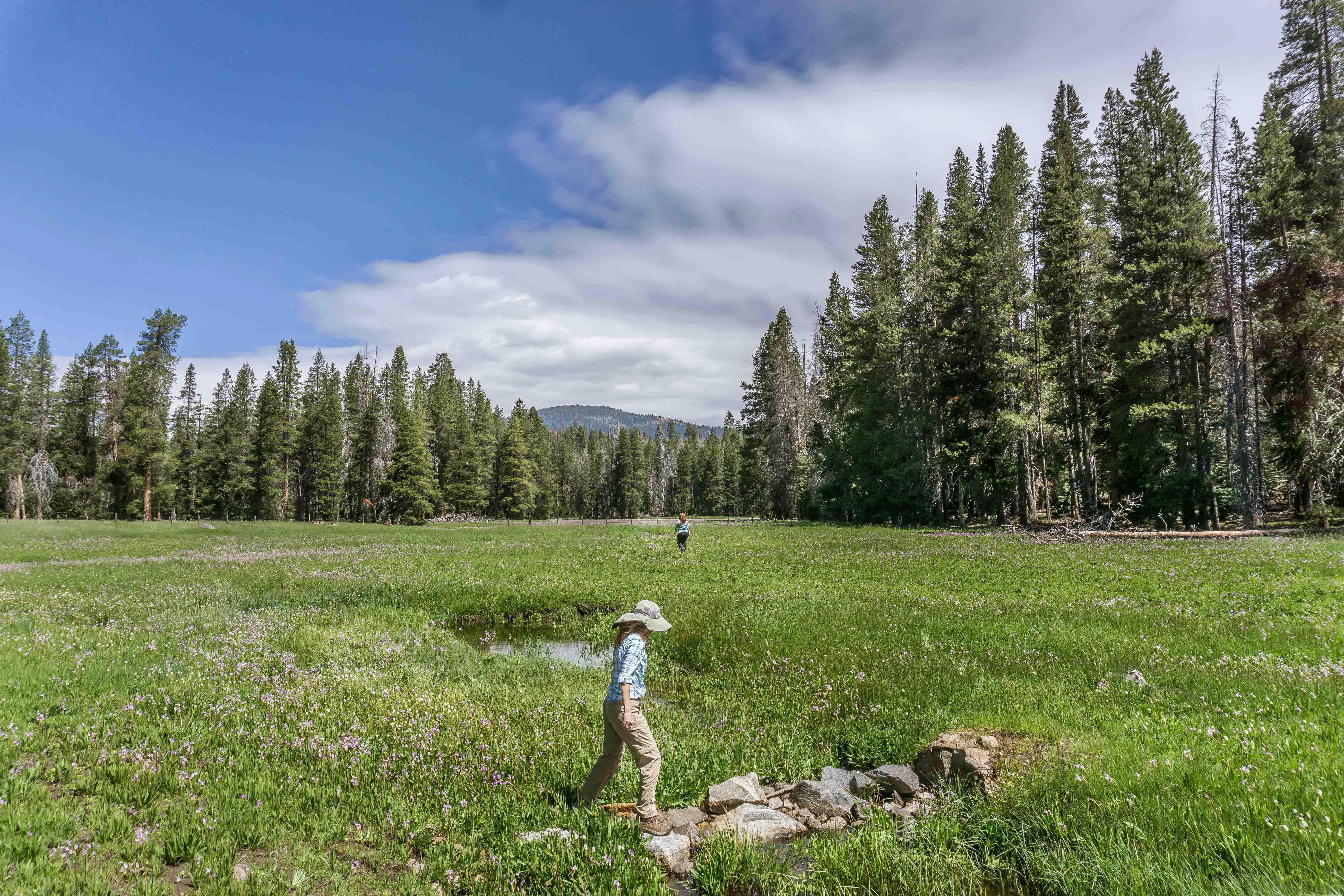 Holiday Inn Express & Suites Oakhurst-Yosemite Park Area By Ihg Dış mekan fotoğraf